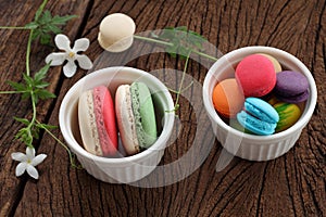 Macaron multi color.