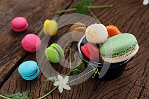 Macaron multi color.