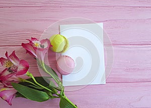 Macaron pink wooden background, alstroemeria flower white leaf