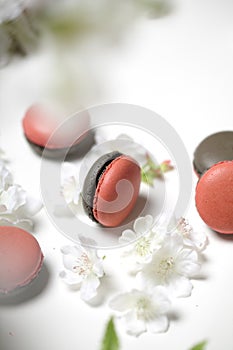 Macarone with raspberry and strawberry flavor on the white table