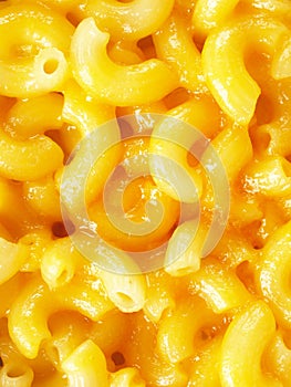 Macaroni and cheese photo