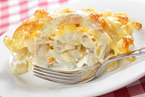 Macaroni cheese