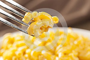 Macaroni and Cheese in a bowl