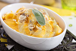 Macaroni and cheese with butternut squash photo