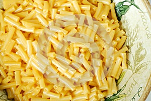 Macaroni and Cheese Pasta