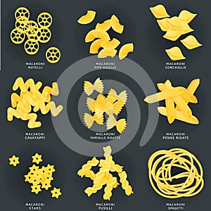 Macaroni in different variations. Set of pasta, fusilli, conchiglio, rigatoni, farfalle, penne, ruote, cavatappi