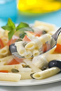 Macaroni mozzarella olives capers tomatoes salad