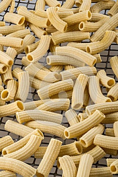 Macaroni pasta in drying