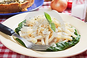 Macaroni pasta with galic and silverbeet