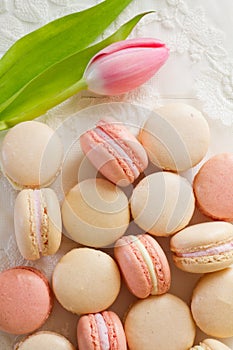 Macarons from above with tulip