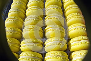 Macarons cake - sweet - dessert - sweetmeat - confection - dainty - goody