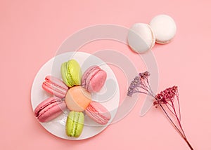 Macarons Cute top view photo for posters and banners