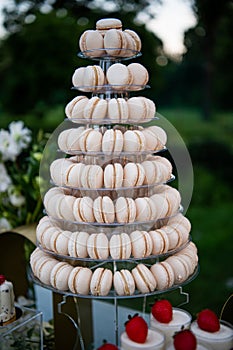 MACARONS. Dessert table for a party Candy bar. Rich thematic wedding candy bar, high variety of sweets