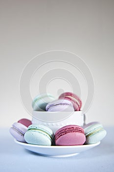 Macarons in tea cup and saucer.