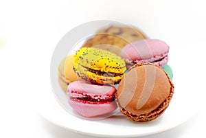 Macaroon isolated on the plate