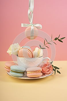 Macaroons cake are placed in a cup with buds of a carnation and