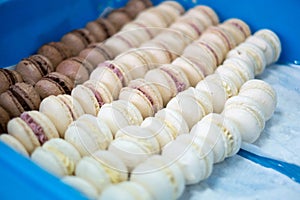 Macaroons Chocolate and Vanilla in a Tray