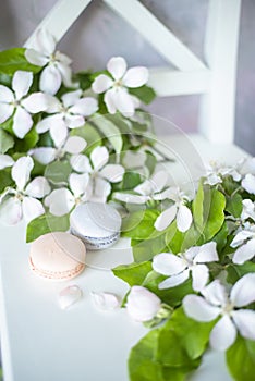 macaroons among delicate white flowers. Delicate morning coffee with a wonderful spring-summer mood. Soft selective artistic focus