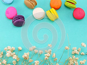 Macaroons with dryied flower and copy space background