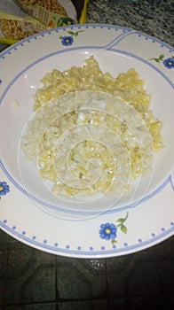 Macarrones con queso photo