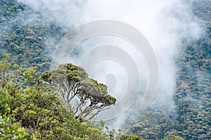 Macas, Andes. Ecuador