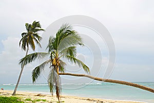 Macau Beach - R. Dominicana photo