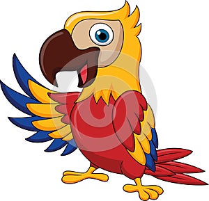 Macaw bird cartoon waving