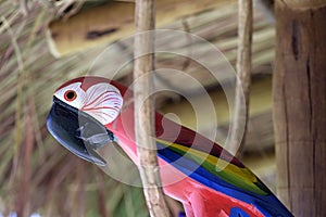 Macaw carved in wood, Brazilian craftwork