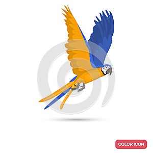 Macaw parrot color flat icon for web adn mobile design photo