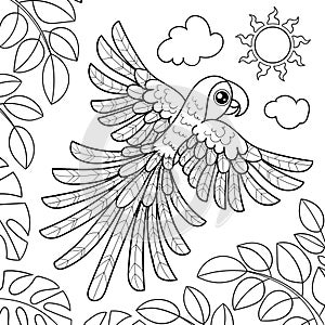 Macaw parrot flies. Black and white linear drawing. Vector