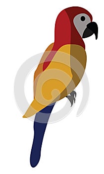 Macaw parrot, illustration, vector