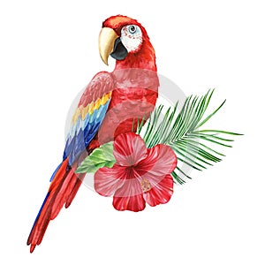 Macaw parrot. Tropical watercolor colorful bird, flowers and leaves. set with exotic plants isolated on white background