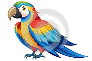 macaw-parrot-white-background-vector-illustration .eps