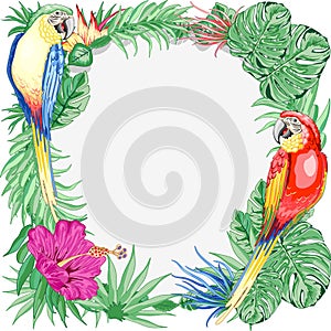 Macaws Parrots Exotic Birds Summer Nature Round Frame Vector Graphic Art