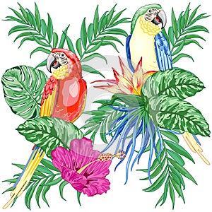 Macaws Parrots Exotic Birds on Tropical Flowers and Leaves Vector Illustration 