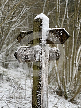 Macc Forest snow covered sign