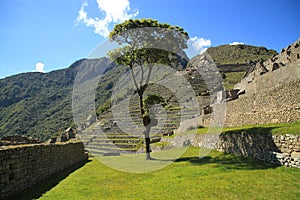 Macchu Picchu, Peru, South America