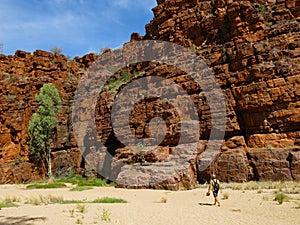 MacDonnell Ranges National Park, Nothern Territory, Australia