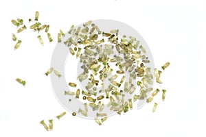 Macedonian scabious plant seeds on white background