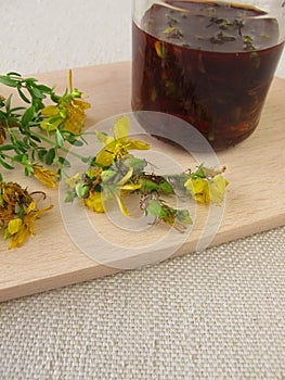 Maceration from St. John's wort flowers in oil