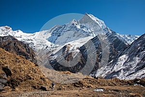 Machapuchare in Annapurna region, Nepal photo