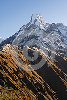 Machapuchare or fish tail mountain peak, sacred peak in Annapurna range, Himalaya mountain range in Pokhara, Nepal