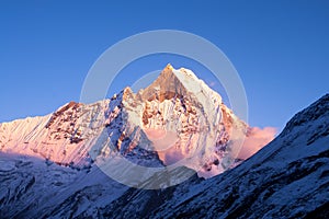 Machapuchare Sunset