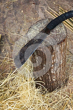 machete on a log