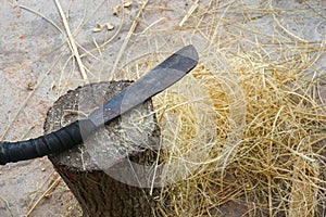 machete on a log