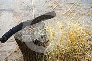machete on a log