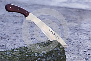 Machete stuck in stump