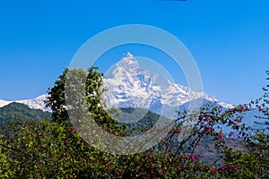 Machhapuchhre Himal from Pokhara city