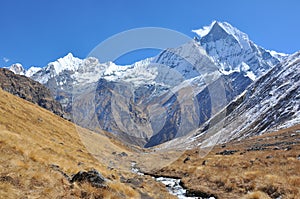 Machhapuchhre,Himalaya Nepal photo