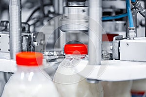 Machine for bottling milk, industry equipment dairy plant